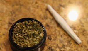 marijuana grinder and marijuana rolls