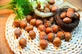 hazelnut fats