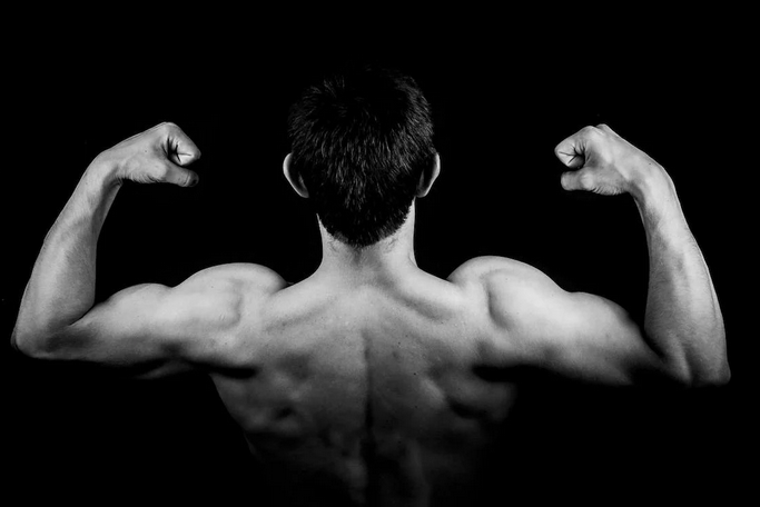 lean muscle